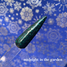 Load image into Gallery viewer, Midnight in the Garden
